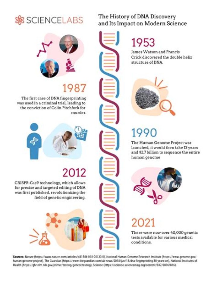 Discoveries And Insights You Can't Miss!
